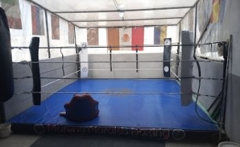 @boxmorenomorales