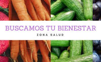 Zona Salud