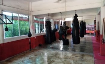 COBRA TEAM Escuela de Boxeo