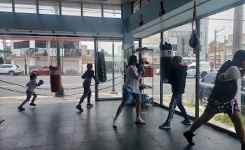 305Boxing