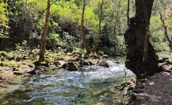 Distribuidor Independiente de Herbalife