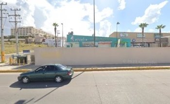 Transformación Consciente de Vida