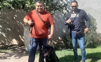 Escuela de Adiestramiento Canino Profesional