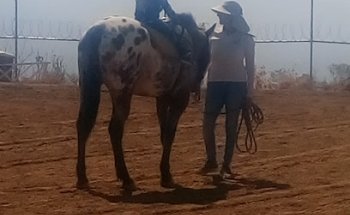 Club Hípico El Bosque