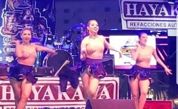 Latin Salsa Studio