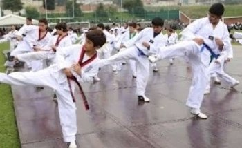 Taekwondo Kwan Do México A.C.