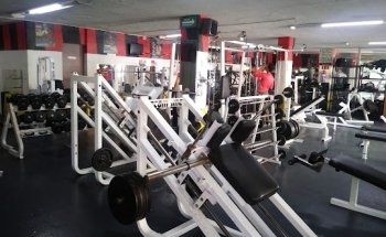 The Power Gym