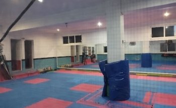 The Kingdom Academy of Excellence and Mixed Martial Arts