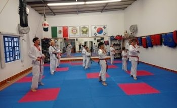 Moo DuK Kwan Cd. Guzmán
