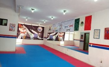 Asociación Hanlyu de Mexico Taekwondo
