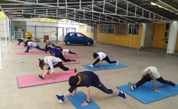 Fénix kickboxing