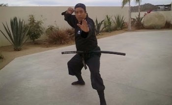 Bujinkan Los Cabos
