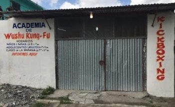 Wushu Kung-Fu Galvan's
