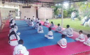 Club Oficial de Taekwondo Yong Ho de Comonfort, Gto AC