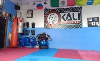 Artes Marciales Mixtas CALI