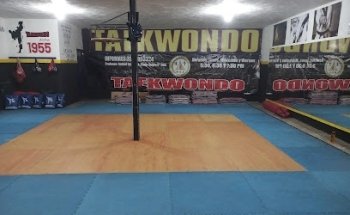 Taekwondo Zona 1955 Tlaquepaque