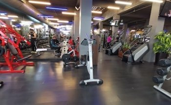 Go Fitness