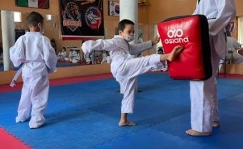 Instituto de taekwondo Leones taekyon