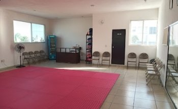 Gold´s Tiger School Taekwondo