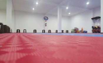 Taekwondo Kiukikwon Hidalgo