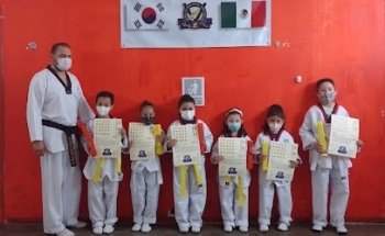 TAEKWONDO MOO DO HE