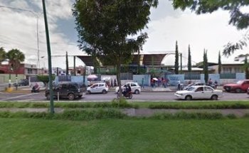 Alianza Profesional Tae Kwon Do