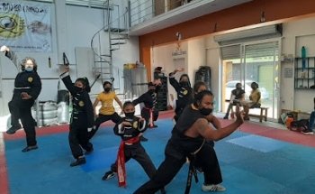 Escuela íntegral del arte marcial 