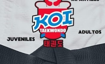 KOI TAEKWONDO CHW
