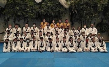 OLLIN TAEKWONDO OMET LEONES