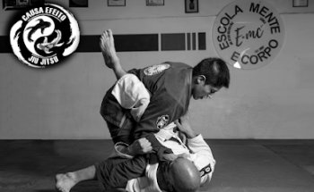 Causa Efeito Jiu Jitsu
