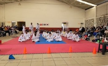 Taekwondo Titanes Acozac