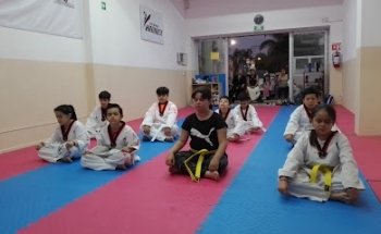 TAEKWONDO HANMEX Tepeyac AMR