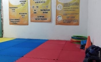 In DUK Taekwondo Chiapas