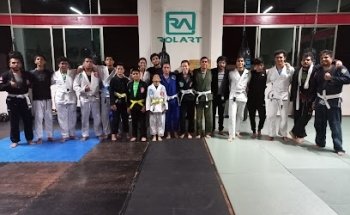 rolart jiujitsu uruapan