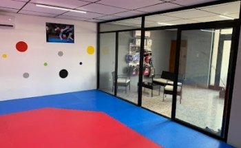 Taekwondo Mundialistas