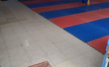 Vonnacher Zorros Tae Kwon Do