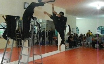 HAPKIDO MAKARO GDL/OBLATOS