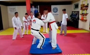 Dragones Blancos Taekwondo