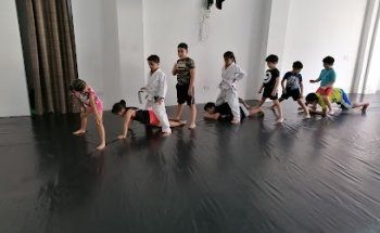 RINO ACADEMY / SOULFIGHTERS - Santa Catarina