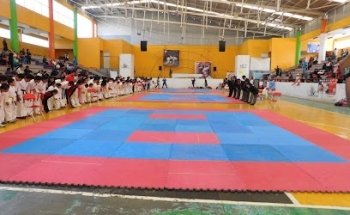 Organización Bushi No Seishin