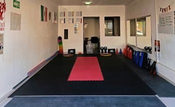 Fénix Taekwondo