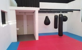 Jiu-Jitsu Pedregal de San Nicolás