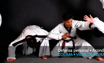 Hapkido Colima