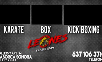 Leones Karate Team