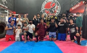 Scorpion Combat