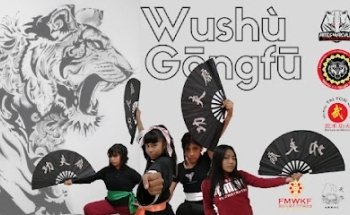 Artes Marciales Otzolotepec