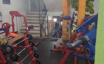 Gimnasio Spider