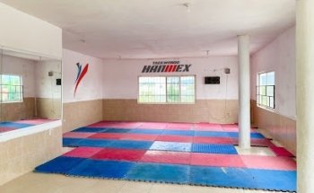 Taekwondo HanMex Ciénega de Flores