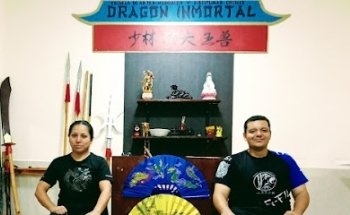 Artes marciales kung-fu dragón inmortal Tlaquepaque