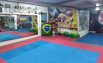 Asociación Nacional de Kung Fu Sistema Shaolin México